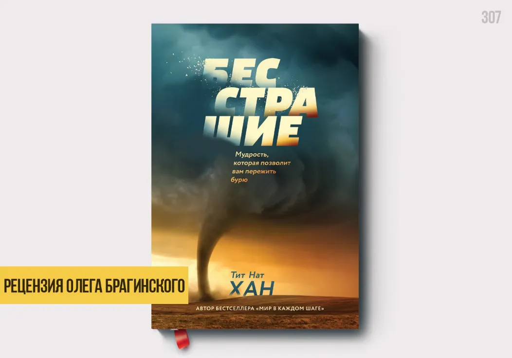 Рецензия на книгу «Бесстрашие»
