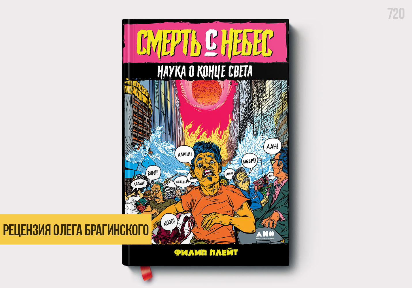 Рецензия на книгу «Смерть с небес»